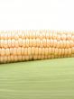 corn on the cob