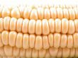 corn on the cob