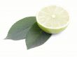 lime on leaves close-ups