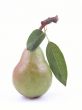 green pear with leaves isolated