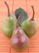 three green pears