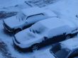 Snowed cars after night snowfall
