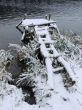 First season snowfall on riverside water