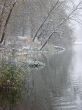 First season snowfall on riverside water