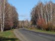 Autumn road with deep blue sky