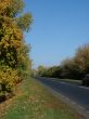 Autumn road with deep blue sky