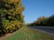 Autumn road with deep blue sky