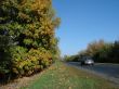 Autumn road with deep blue sky