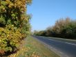 Autumn road with deep blue sky
