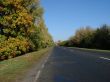 Autumn road with deep blue sky