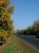 Autumn road with deep blue sky