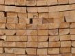 Butt side of wooden logs stack