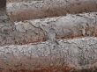 grungy surface pipe background