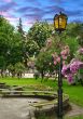 Park lantern under flowers