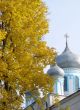 Cathedral`s Cupola behind Yellow Maple