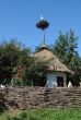 Peaceful Ancient Ukrainian Village Yard