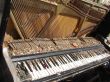The Old Broken Piano Among Ruins