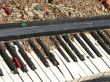 The Old Broken Piano Among Ruins