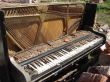 The Old Broken Piano Among Ruins