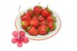 Strawberries on a saucer, isolated on white