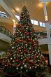 Mall Christmas Tree