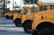 School Buses