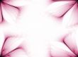 Petals Border