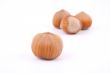 hazelnuts