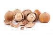 hazelnuts