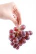 grapes