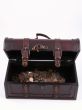 treasure chest