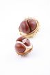 chestnuts
