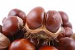 chestnuts