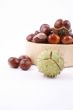 chestnuts