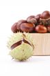 chestnuts
