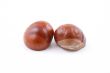 chestnuts