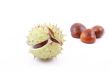 chestnuts