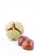 chestnuts