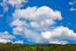 Summer landscape