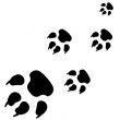 Animal paws