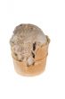 Almost eaten ice-cream