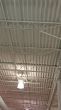 Industrial Ceiling