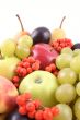 fruits