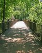 Woodland Bridge