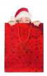beautiful girl coming out of christmas bag
