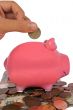 business savings in a piggy bank
