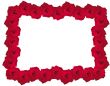 beautiful rose frame