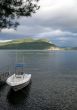 Docked Boat