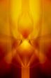 Abstract graphic design