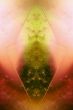 Abstract graphic design